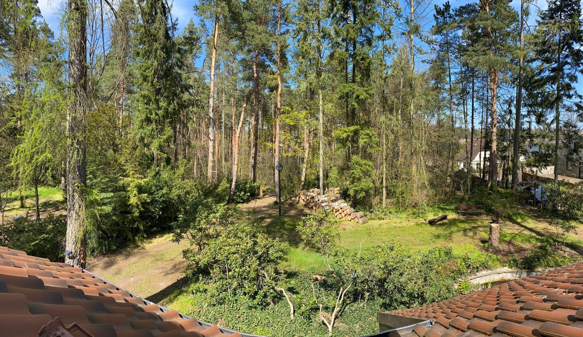 Waldhaus Eichhoernchen Bad Schmiedeberg Eksteriør billede