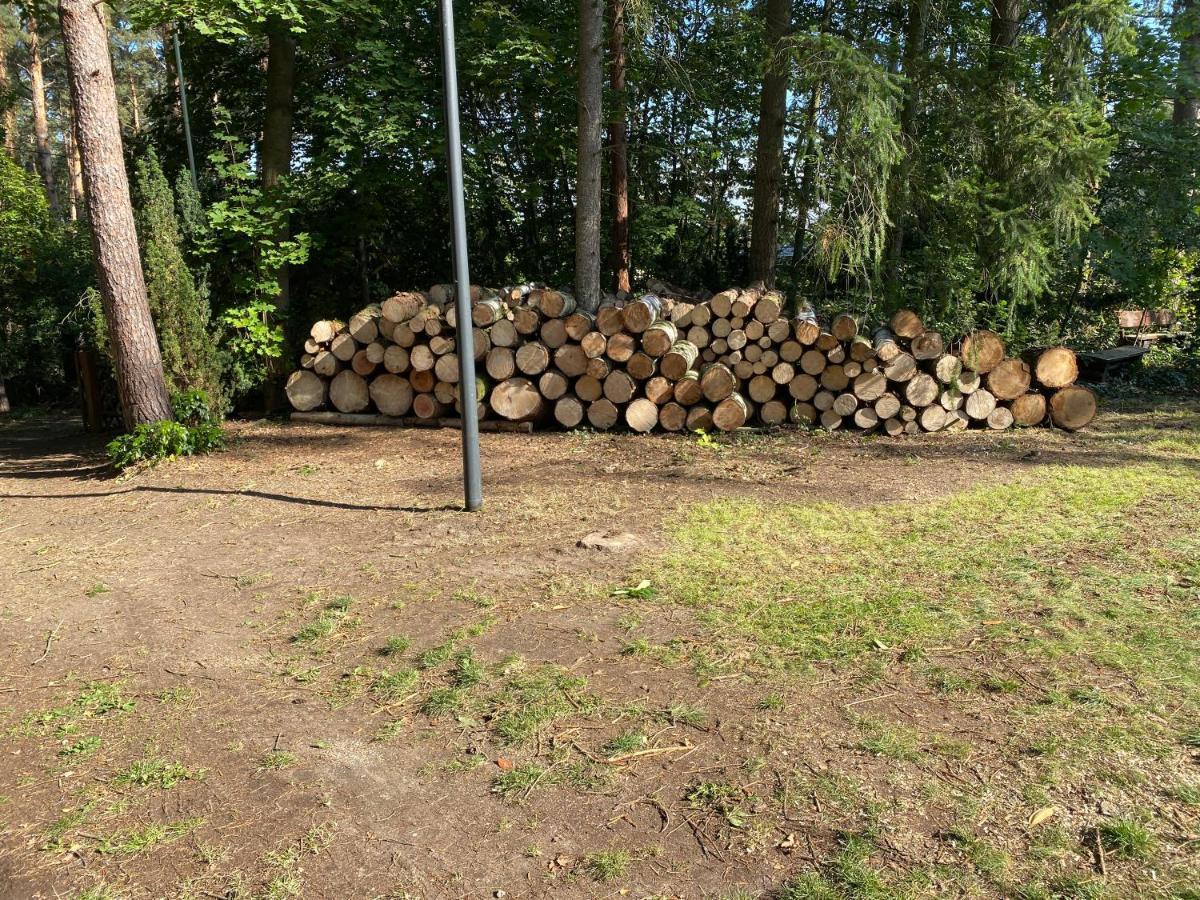 Waldhaus Eichhoernchen Bad Schmiedeberg Eksteriør billede