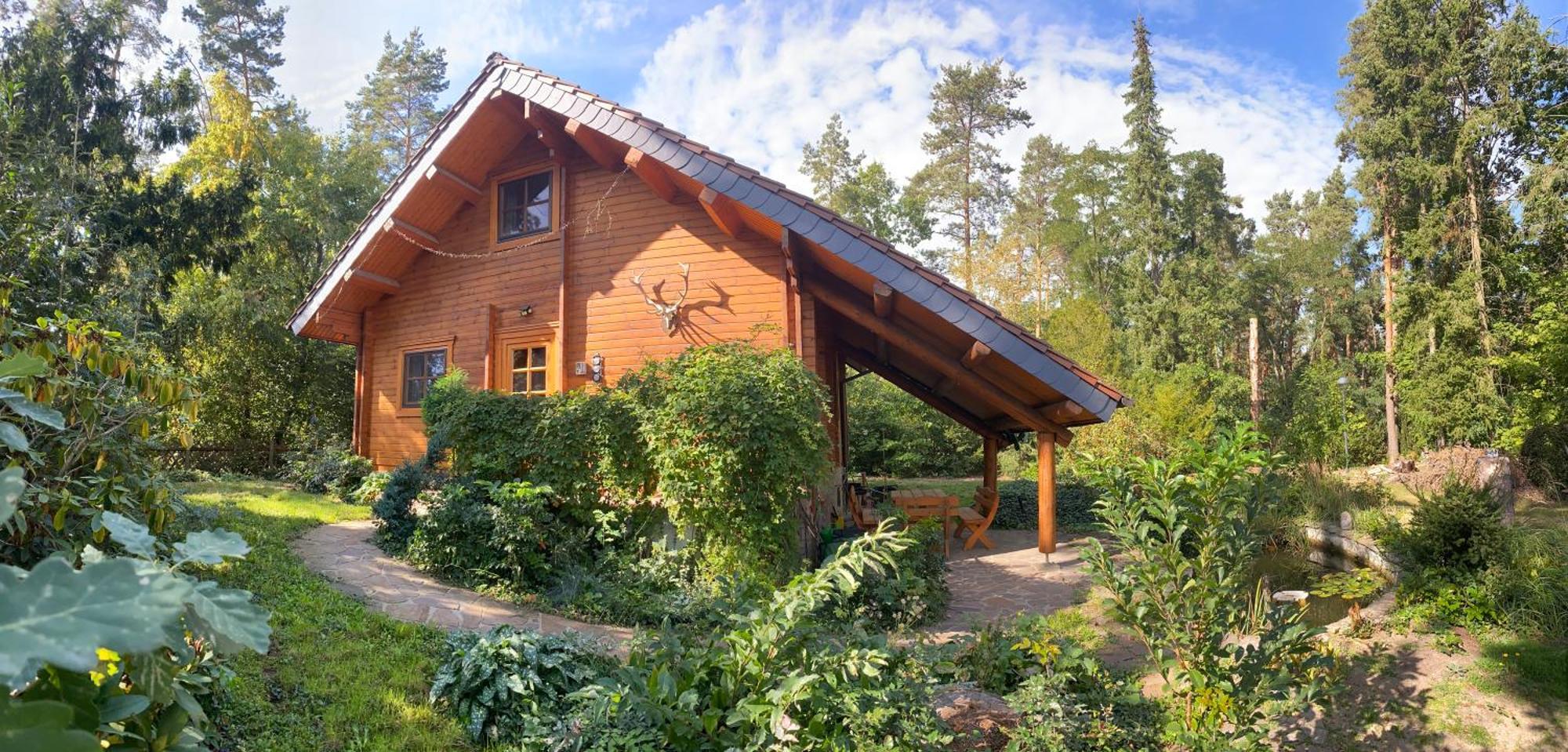 Waldhaus Eichhoernchen Bad Schmiedeberg Eksteriør billede